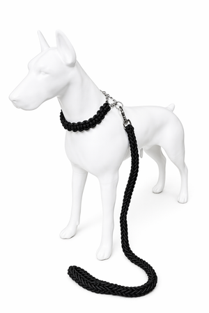 Correa con collar tipo ahogo en cuerda trenzada