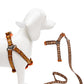 Kit de Bienvenida para Perros Pequeños