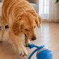Pelota interactiva automática con luces y sonido para mascotas