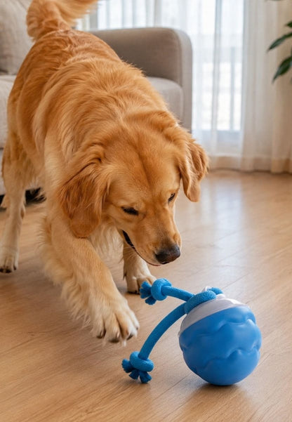 Pelota interactiva automática con luces y sonido para mascotas