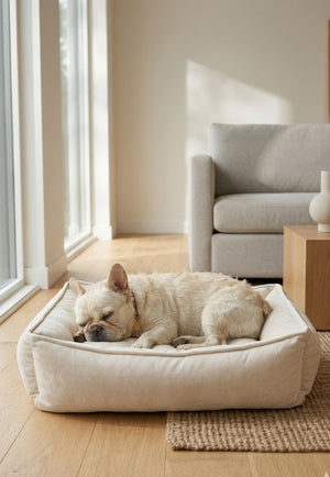 Cama para Perro y Gato Tipo Sofá Acolchada Suave y Cómoda