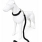 Kit de aventura  XL  perros grandes