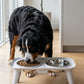 Comedero Elevado Doble para Perros y Gatos con Platos en Acero Inoxidable
