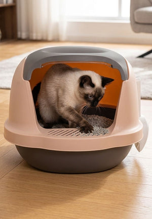 Arenero Cerrado para Gatos con Filtro y Pala