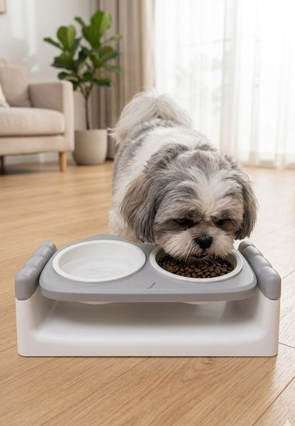 Comedero Doble Elevado para Perros y Gatos