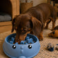 Plato Slow Feeder para Perros y Gatos | Comedero Anti ansiedad