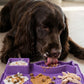 Tapete Lamedor para Perros (Lick Mat)