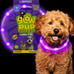 Collar LED Recargable USB para Perros Pequeños Glow Pup Luna F35 MARCA LAROO