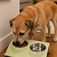 Comedero Doble Elevado para Mascotas con Platos en Acero Inoxidable