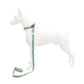 Set Correa y Collar Ajustable para Perro Estampado Premium