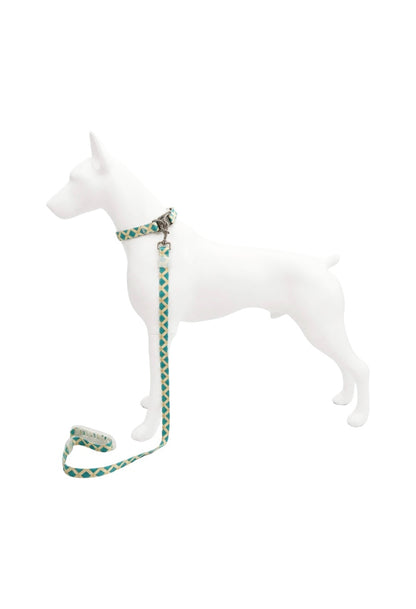 Set Correa y Collar Ajustable para Perro Estampado Premium