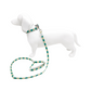 Set Correa y Collar Ajustable para Perro Estampado Premium