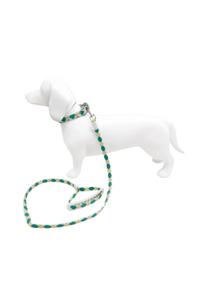 Set Correa y Collar Ajustable para Perro Estampado Premium