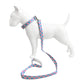 Set Correa y Collar Ajustable para Perro Estampado Premium