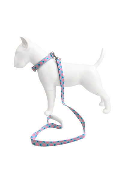 Set Correa y Collar Ajustable para Perro Estampado Premium