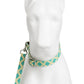 Set Correa y Collar Ajustable para Perro Estampado Premium