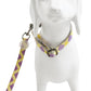 Set Correa y Collar Ajustable para Perro Estampado Premium