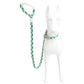 Set Correa y Collar Ajustable para Perro Estampado Premium