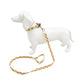 Set Correa y Collar Ajustable para Perro Estampado Premium