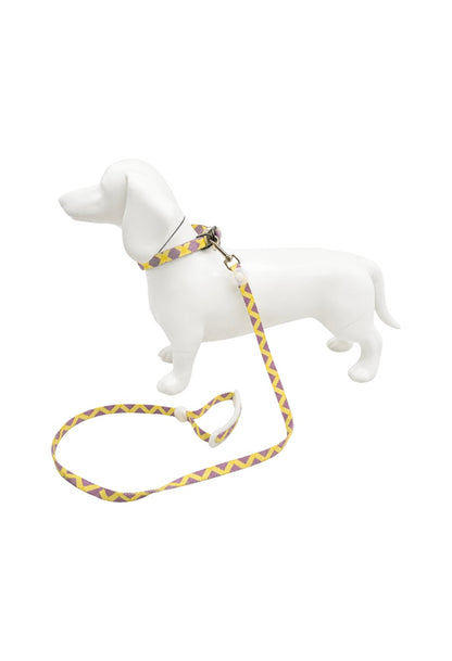 Set Correa y Collar Ajustable para Perro Estampado Premium