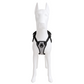 Pechera Reflectivo Ajustable para Perro con Broches de Seguridad y Acolchado Cómodo