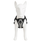 Pechera Reflectivo Ajustable para Perro con Broches de Seguridad y Acolchado Cómodo