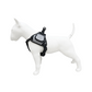 Pechera Reflectivo Ajustable para Perro con Broches de Seguridad y Acolchado Cómodo