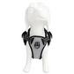 Pechera Reflectivo Ajustable para Perro con Broches de Seguridad y Acolchado Cómodo