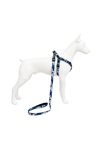 Duo Arnés Ajustable para Perro con Correa Estampado Camuflado Premium
