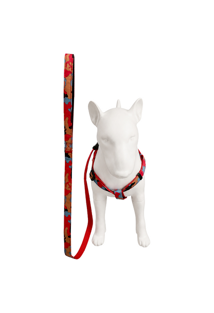 Duo Arnés Ajustable para Perro con Correa Estampado Camuflado Premium