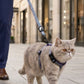 Duo Arnés Ajustable para Gato y Perro Pequeño con Correa Estampado de Punto