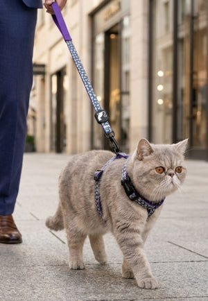Duo Arnés Ajustable para Gato y Perro Pequeño con Correa Estampado de Punto