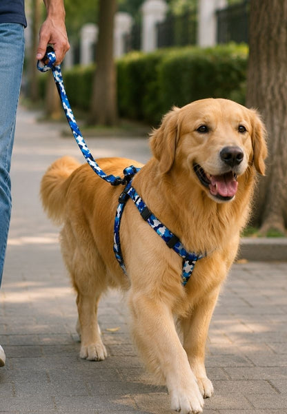 Duo Arnés Ajustable para Perro con Correa Estampado Camuflado Premium