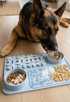Tapete Lick Mat para Perros y Gatos Antiestrés