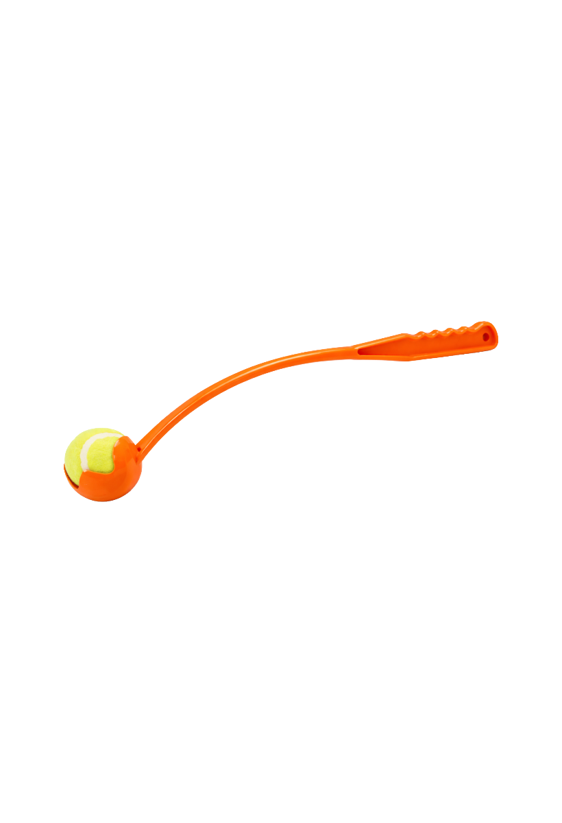 Lanzador de pelota para perros