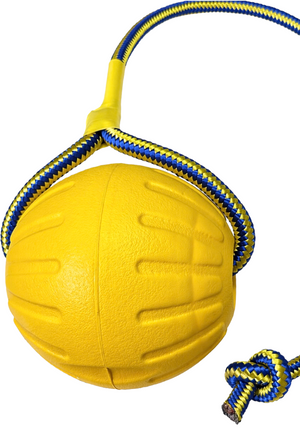 Pelota para Perros con Cuerda Resistente