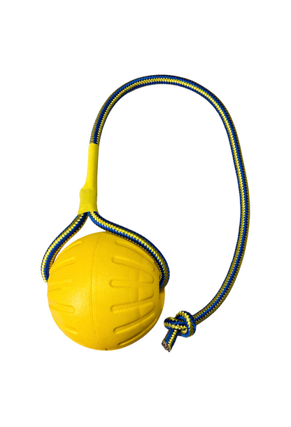 Pelota para Perros con Cuerda Resistente