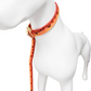 Collar para Mascotas LAROO 🐶🐱 – Antifluido (Resistente al agua)