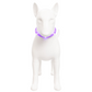 Collar LED Recargable USB para Perros Pequeños Glow Pup Luna F35 MARCA LAROO
