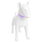 Collar LED Recargable USB para Perros Pequeños Glow Pup Luna F35 MARCA LAROO
