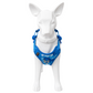 Pechera con luz LED para mascotas – Laroo