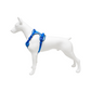 Pechera con luz LED para mascotas – Laroo