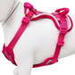 Pechera con luz LED para mascotas – Laroo