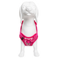 Pechera con luz LED para mascotas – Laroo