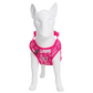 Pechera con luz LED para mascotas – Laroo