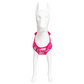 Pechera con luz LED para mascotas – Laroo