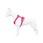 Pechera con luz LED para mascotas – Laroo