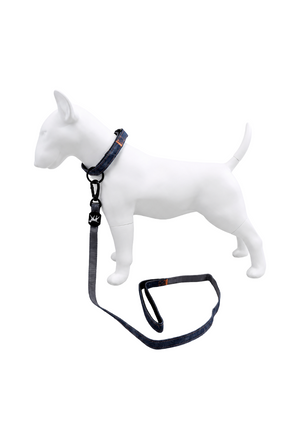 Set Correa y Collar para Perro Ajustable Diseño Tipo Jean Premium
