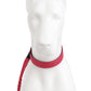 Correa Elástica Anti tirones para Perro con Collar Ajustable