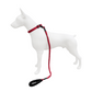 Correa Elástica Anti tirones para Perro con Collar Ajustable